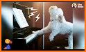 Toy Dog ​​Piano related image