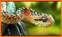 Snake Bonkers - Color Snake related image