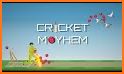 Cricket Mayhem: 2D Cricket related image