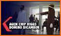 Game Guardıan|Higgs Domino Guide related image