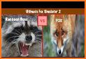 Real Fox Simulator 2021 related image