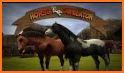 Summer Horse Simulator – Horse Riding Simulator 3D related image