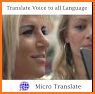 Micro Translate related image