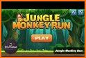 Jungle Monkey Adventure Run related image