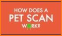 PetScan related image