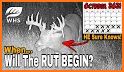 Wisconsin Rut Report related image