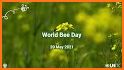 World Bee Count related image