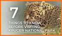 Kruger Park map & field guide related image