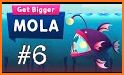 Get Bigger! Mola related image