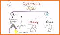 Anemia Algorithm related image