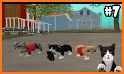 Cat Simulator Family: Cute Stray Kitten Life related image