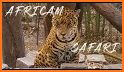 Africam Safari related image