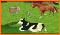 🐓Baby Farm Games - Fun Puzzles for Toddlers🐓 related image