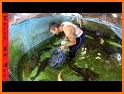 Aqua Paradise Fish Rescue related image