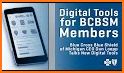 BCBSM related image