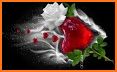 I love you images hd - Love Pictures Whit Flowers related image