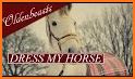 DressMyHorse related image