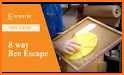 Adept Honey Bee Escape - JRK Games related image