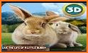 Forest Pet Bunny Simulator – Wild Rabbit Games related image