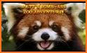 Red Pandas Adventure related image