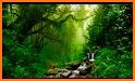 Relaxing Music Free : Calm Melodies and Sounds related image