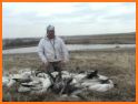 Snow Goose E Caller App related image