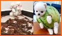 Cute Puppy Pom Keyboard Background related image