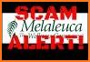 Melaleuca related image