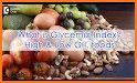 Food Glycemic Index - GI GL Net Carbohydrates related image