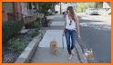 Wag! - 5-Star Dog Walking, Sitters & Pet Care related image