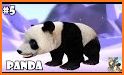 Panda Simulator  3D – Animal Game related image