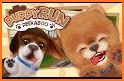 Pet Run - Puppy Dog Game related image