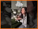 Dog Translator Prank: Talk Pet related image