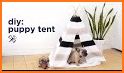 Pet Puppy House Decoration related image