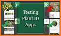 plant finder: plant, flower, fruit identification related image