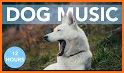 Relax Music for Dogs related image