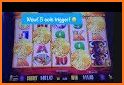 Coin Collecting-Casino Slots related image