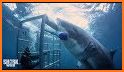 discovery+ | The Streaming Home of Shark Week related image