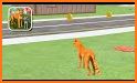 Cat Family Simulator 2021 related image