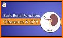 GFR Calculator: Kidney Health & CKD Stage related image