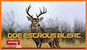 Deer Calls for Hunting & Deer Sounds related image