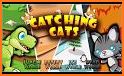 Catching Cats - Free Cat Game related image